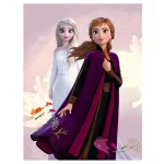 Pătură Polar 100 x 140 cm, multicolor, Anna și Elsa, Disney, Frozen