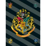 Patură Polar 100 x 150 cm, multicolor, Harry Potter, HP067